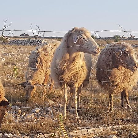 דירות פובליאנה Luciana מראה חיצוני תמונה